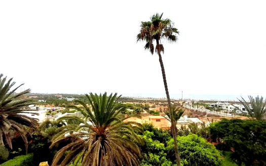 Vue panoramique sur l'océan Atlantique et les palmiers depuis l'appartement à Aïn Diab Casablanca