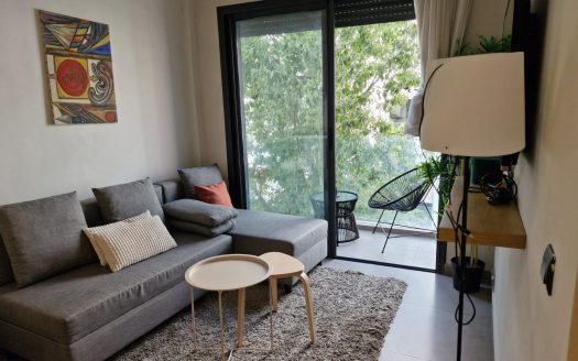Salon lumineux avec canapé et accès balcon dans un appartement meublé au quartier Gauthier
